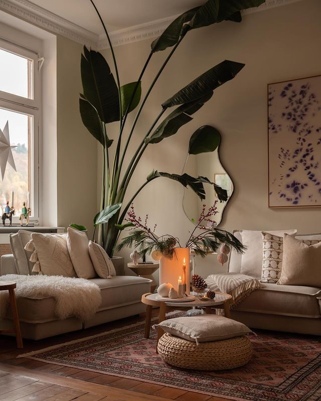aspidistra living room corner trio