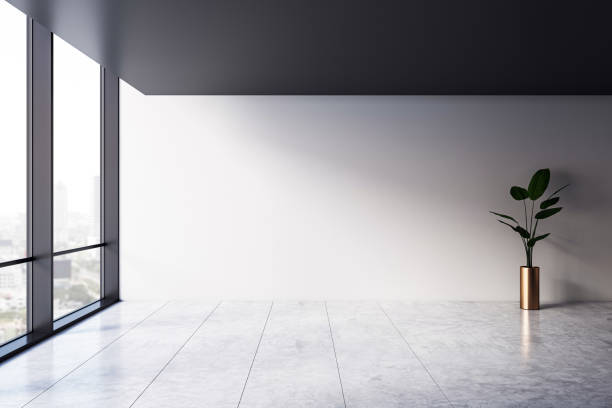 The Ultimate Office Plant? How Aspidistra Thrives in Work Nooks Too Dark for Anything Else