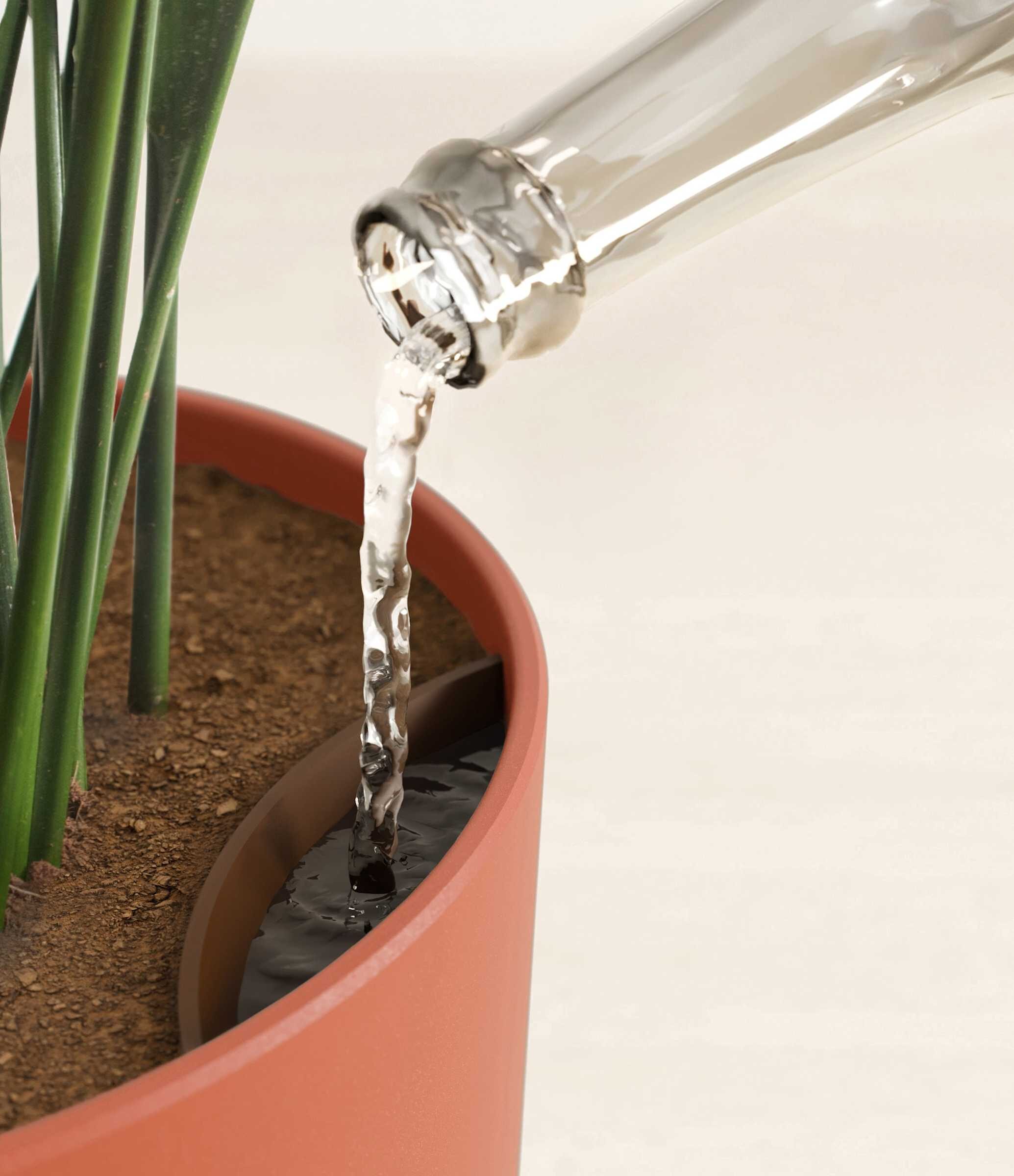 watering cast iron plant drain saucer